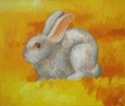 Кролик в поле 142