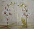 Орхидеи (диптих) 75